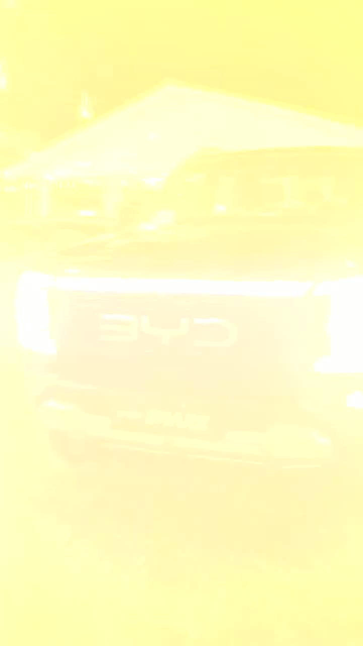 BYD Expoari